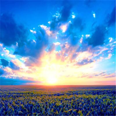 允翡传游戏(暂未上线)v8.4.3 安卓最新版