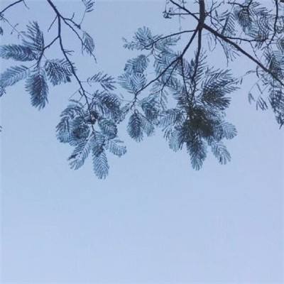 凹凸果手机页游助手官方版下载