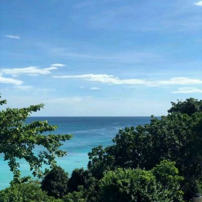 大唐双龙传手游小米版下载