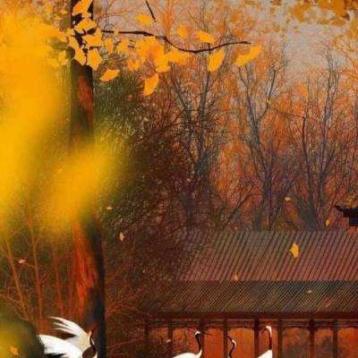 悠悠恋物语满v版下载