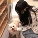 仙宝奇缘bt版下载